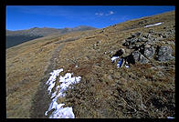 High Tundra.  Rocky Mountain National Park, Colorado.