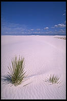 White Sands National Monument, New Mexico