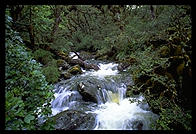 Falls on the Routeburn Track.  South Island, New Zealand.