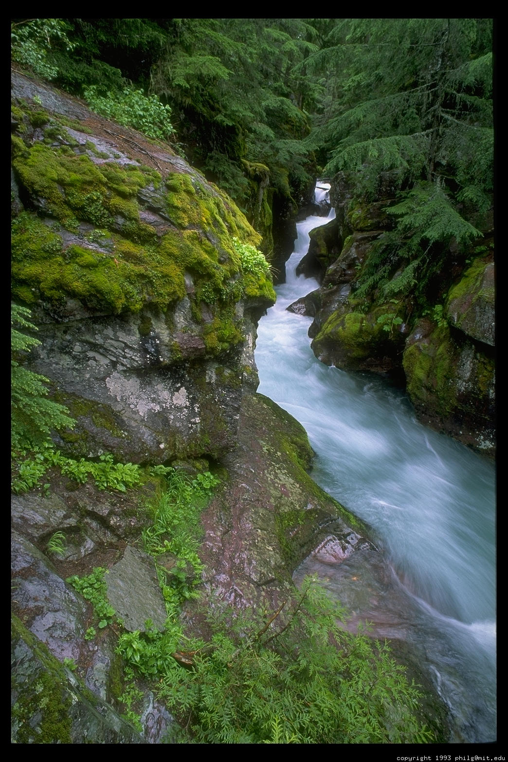 avalanche-creek-falls-25