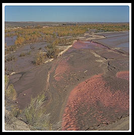 Painted Desert (north-central Arizona).