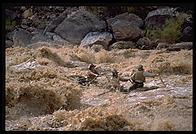 Reenactment of Powell's trip.  Lava Falls.  Grand Canyon National Park.  August 1999.