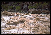 Reenactment of Powell's trip. Lava Falls. Grand Canyon National Park. August 1999.